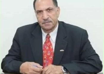 المهندس إسماعيل احمد : المصريون في الخارج يحظون باهتمام كبير من الرئيس السيسي والدولة المصرية 35 - جريدة المساء