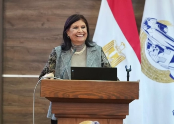 نسرين البغدادي خلال ندوة حماية المرأة من العنف الإلكتروني:الدستور المصري يكفل لها الحماية والتمكين 35 - جريدة المساء