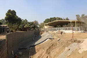 محافظ الجيزة .. تطوير حديقة الحيوان يجعلها أيقونة ترفيهية وتعليمية تعيدها لمكانتها الدولية 50 - جريدة المساء محافظ الجيزة .. تطوير حديقة الحيوان يجعلها أيقونة ترفيهية وتعليمية تعيدها لمكانتها الدولية 49 - جريدة المساء