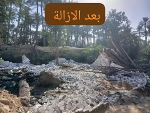 محافظة الجيزة تزيل 144 حالة تعد على الأراضي الزراعية خلال شهر نوفمبر 69 - جريدة المساء