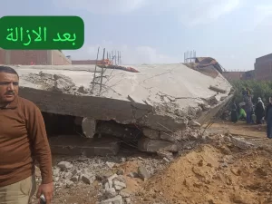 محافظة الجيزة تزيل 144 حالة تعد على الأراضي الزراعية خلال شهر نوفمبر 65 - جريدة المساء