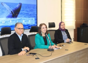 برامج "التوك شو" بين حرية الطرح وضوابط المهنة..في ندوة بإعلام عين شمس  29 - جريدة المساء