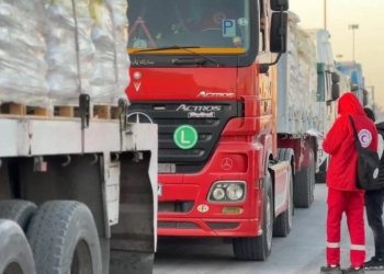 الهلال الأحمر يمد غزة 256 ألف سلة غذائية وأطنان من المساعدات الإنسانية والشتوية 25 - جريدة المساء