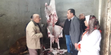 ضبط بهائم مريضة ومذبوحة خارج المجازر بمنوف ..والمحافظ أحال الواقعة للنيابة 1 - جريدة المساء