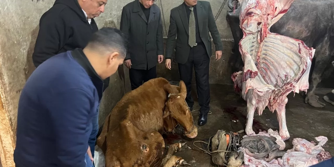 جريدة المساء 113 - جريدة المساء جريدة المساء 112 - جريدة المساء