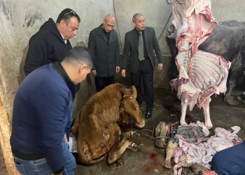 "الزراعة" تضبط ١٩٠ طنًا من اللحوم والمنتجات الفاسدة خلال أسبوع 26 - جريدة المساء "الزراعة" تضبط ١٩٠ طنًا من اللحوم والمنتجات الفاسدة خلال أسبوع 25 - جريدة المساء