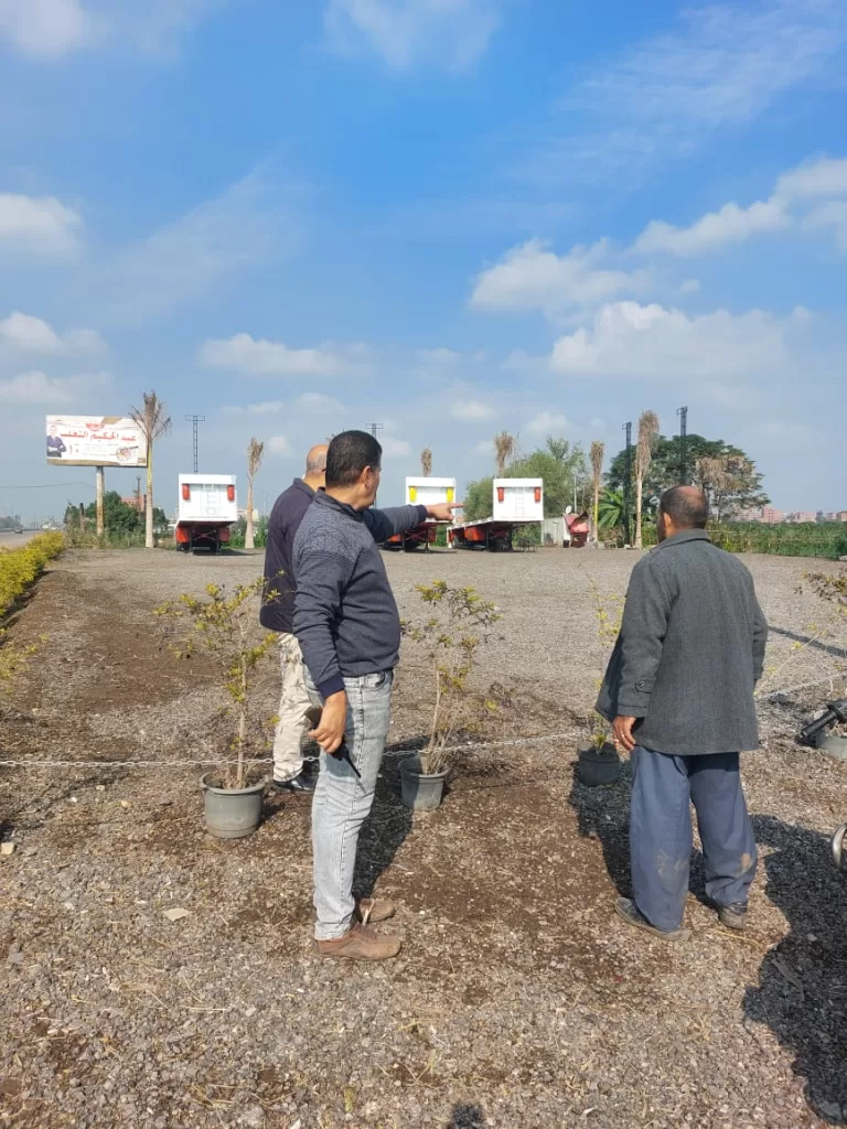 حملات مكبرة بالمنوفية لإزالة التعديات على الأراضى الزراعية بقويسنا وبركة السبع 36 - جريدة المساء