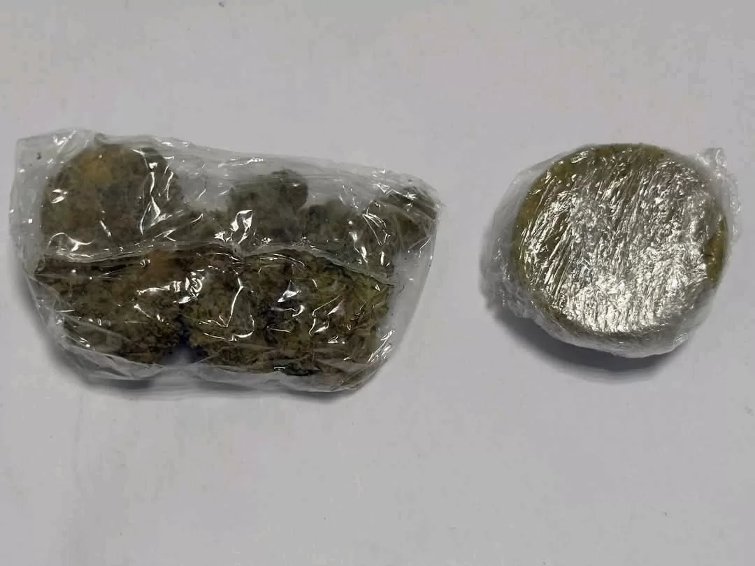 جمارك مطار الغردقة تضبط كمية من نبات الماريجوانا المخدر 20 - جريدة المساء جمارك مطار الغردقة تضبط كمية من نبات الماريجوانا المخدر 19 - جريدة المساء