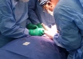 هيئة الرعاية الصحية: استحداث خدمة تثبيت الفقرات لأول مرة بمستشفى دراو المركزي بأسوان 21 - جريدة المساء