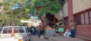 محافظ المنيا يتابع حملات مكبرة لإزالة الإشغالات وتحرير 529 مخالفة 23 - جريدة المساء