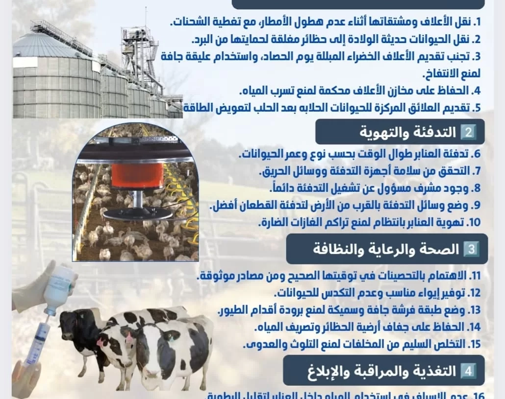 الزراعه تصدر دليلا ب 20 توصية لمربى ومنتجى الثروه الحيوانية والداجنة لمواجهة التقلبات الجويه الباردة 17 - جريدة المساء