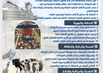 الزراعه تصدر دليلا ب 20 توصية لمربى ومنتجى الثروه الحيوانية والداجنة لمواجهة التقلبات الجويه الباردة 25 - جريدة المساء