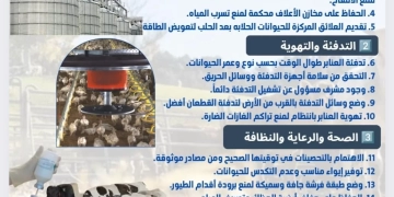 الزراعه تصدر دليلا ب 20 توصية لمربى ومنتجى الثروه الحيوانية والداجنة لمواجهة التقلبات الجويه الباردة 1 - جريدة المساء