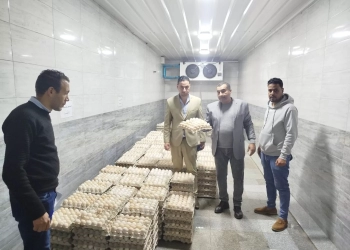 ضبط 70 ألف بيضة فاسدة قبل طرحها بأسواق "السادات" 25 - جريدة المساء