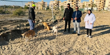 محافظ الدقهلية: شلتر لايواء الكلاب الحرة واطعامها بجمصه 1 - جريدة المساء