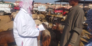 "الزراعة" تنفذ حزمة أنشطة موسعة للتقصي والترصد الوبائي للأمراض بجميع المحافظات 1 - جريدة المساء