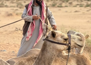 شهد أمين : جوائز قرطاج لـ "هجرة" هي إنجاز جديد للسينما السعودية 21 - جريدة المساء