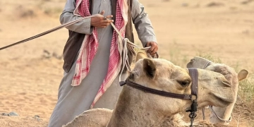 شهد أمين : جوائز قرطاج لـ "هجرة" هي إنجاز جديد للسينما السعودية 1 - جريدة المساء