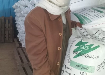 وزارة الزراعة: توزيع 100 طن تقاوي شعير و33 ألف شتلة زيتون "بالمجان" بمرسى مطروح 37 - جريدة المساء