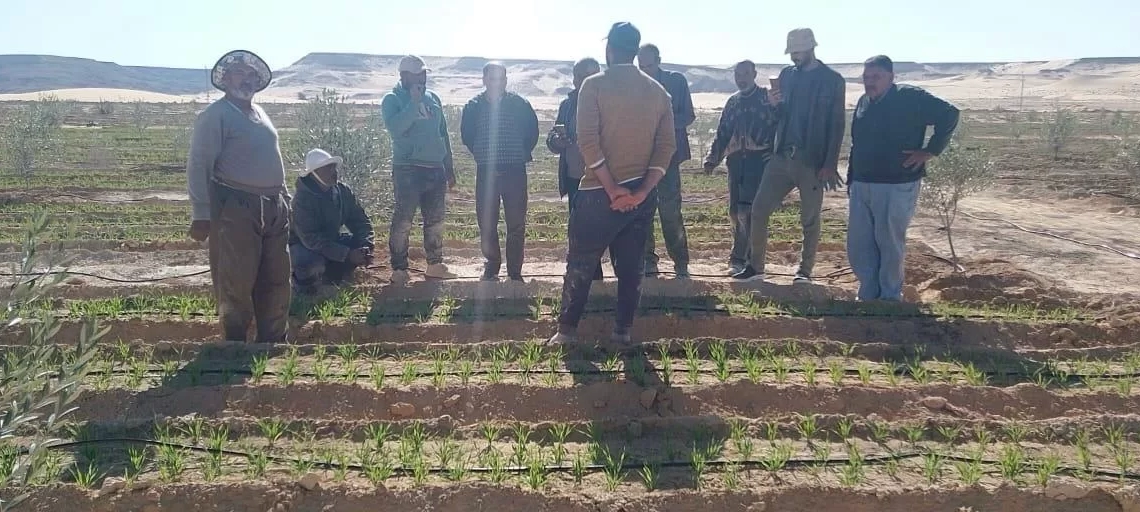 "بحوث الصحراء" يعزز الدعم الميداني للمزارعين بسيناء 20 - جريدة المساء "بحوث الصحراء" يعزز الدعم الميداني للمزارعين بسيناء 19 - جريدة المساء