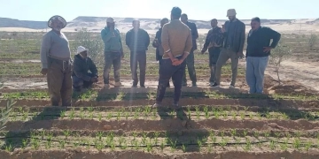 "بحوث الصحراء" يعزز الدعم الميداني للمزارعين بسيناء 2 - جريدة المساء "بحوث الصحراء" يعزز الدعم الميداني للمزارعين بسيناء 1 - جريدة المساء