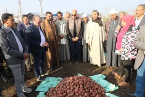 في قلب الحقول.. محافظ المنيا يدعم المزارعين ببردنوها ويطلق موسم زراعة القمح والكمون 21 - جريدة المساء