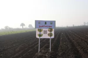 كدواني مع مزارعي بردنوها: التوسع في النباتات الطبية والعطرية يعزّز الاقتصاد ويوفر فرص عمل 23 - جريدة المساء