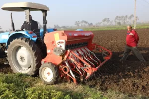 «ذهب مصر الأصفر» ينمو على أحدث الطرق.. محافظ المنيا يتابع زراعة القمح ببردنوها 27 - جريدة المساء