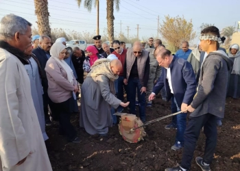 «ذهب مصر الأصفر» ينمو على أحدث الطرق.. محافظ المنيا يتابع زراعة القمح ببردنوها 23 - جريدة المساء