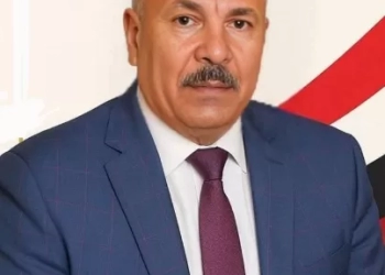 خفاجي: انتخابات المصريين بالخارج تعكس صورة حضارية تليق بمكانة مصر إقليميًا ودوليًا 25 - جريدة المساء