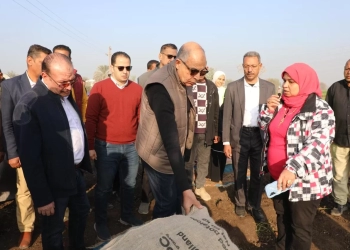المنيا تتصدر التحول الزراعي في مصر.. باركود للمحاصيل وتوسع في دعم المزارعين 19 - جريدة المساء