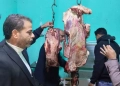 ضبط طن لحوم غير صالحة للاستخدام الآدمي .. بشبين و الباجور و السادات 21 - جريدة المساء