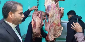 ضبط طن لحوم غير صالحة للاستخدام الآدمي .. بشبين و الباجور و السادات 1 - جريدة المساء