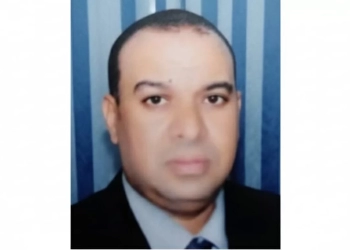 د. أحمد صابر يكتب: "الدراسات الإفريقية".. آلية حضارية تدعم القارة السمراء 25 - جريدة المساء