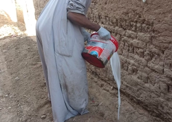 لزراعة" لا منازل مهدده بسبب النمل الابيض ولا خسائر فى المحاصيل.. 24 - جريدة المساء