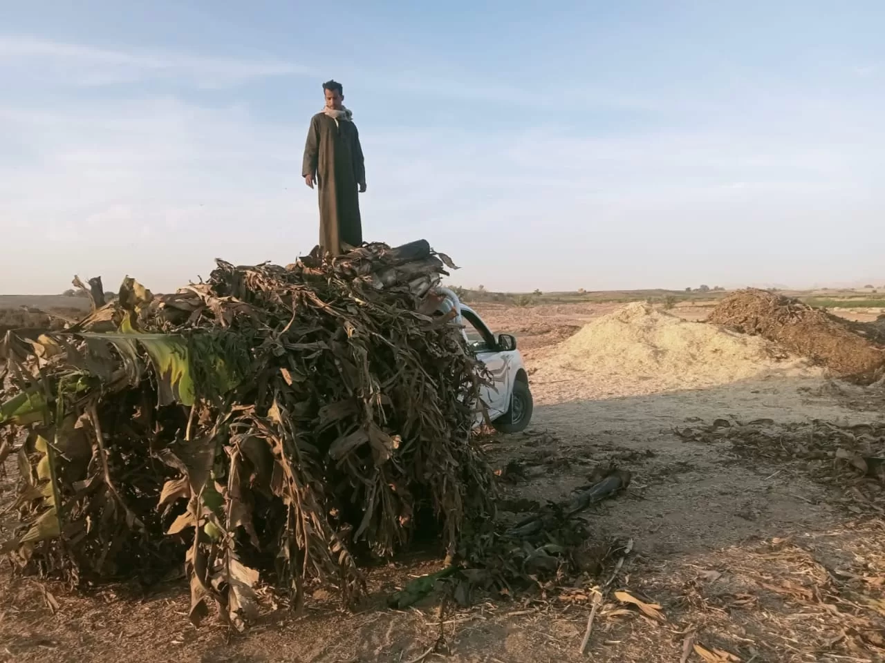 «ذهبٌ أخضر من رماد الحقول».. كيف حولت قرى قنا المخلفات الزراعية إلى ثروة بيئية واقتصادية؟ 31 - جريدة المساء