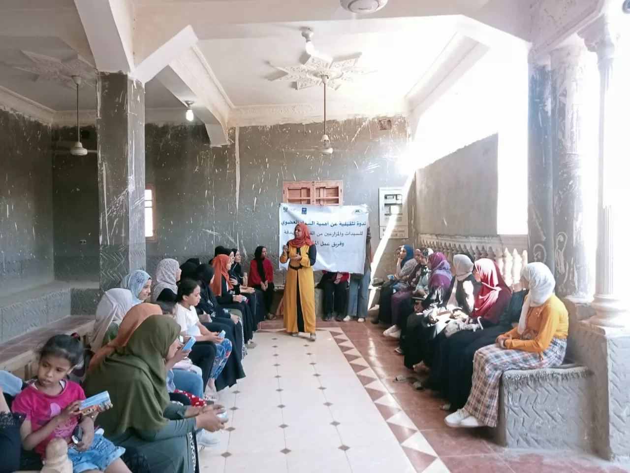 «ذهبٌ أخضر من رماد الحقول».. كيف حولت قرى قنا المخلفات الزراعية إلى ثروة بيئية واقتصادية؟ 161 - جريدة المساء