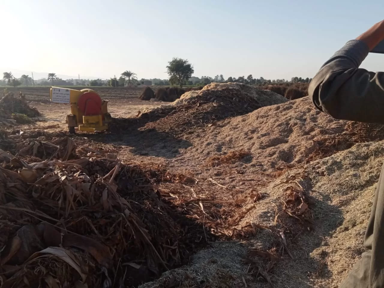 «ذهبٌ أخضر من رماد الحقول».. كيف حولت قرى قنا المخلفات الزراعية إلى ثروة بيئية واقتصادية؟ 103 - جريدة المساء