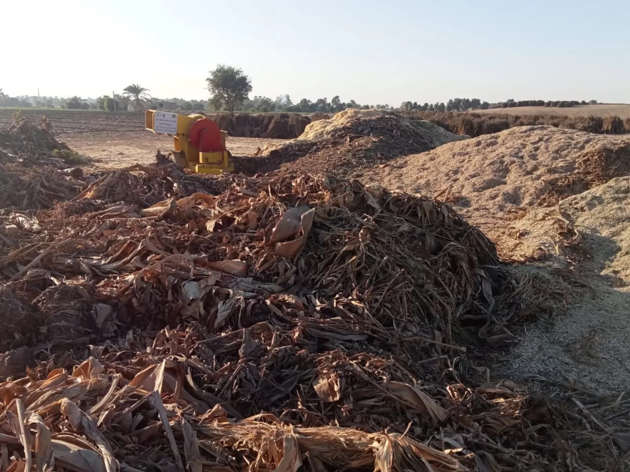 «ذهبٌ أخضر من رماد الحقول».. كيف حولت قرى قنا المخلفات الزراعية إلى ثروة بيئية واقتصادية؟ 19 - جريدة المساء