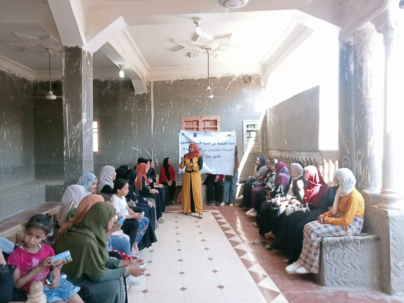 «ذهبٌ أخضر من رماد الحقول».. كيف حولت قرى قنا المخلفات الزراعية إلى ثروة بيئية واقتصادية؟ 177 - جريدة المساء