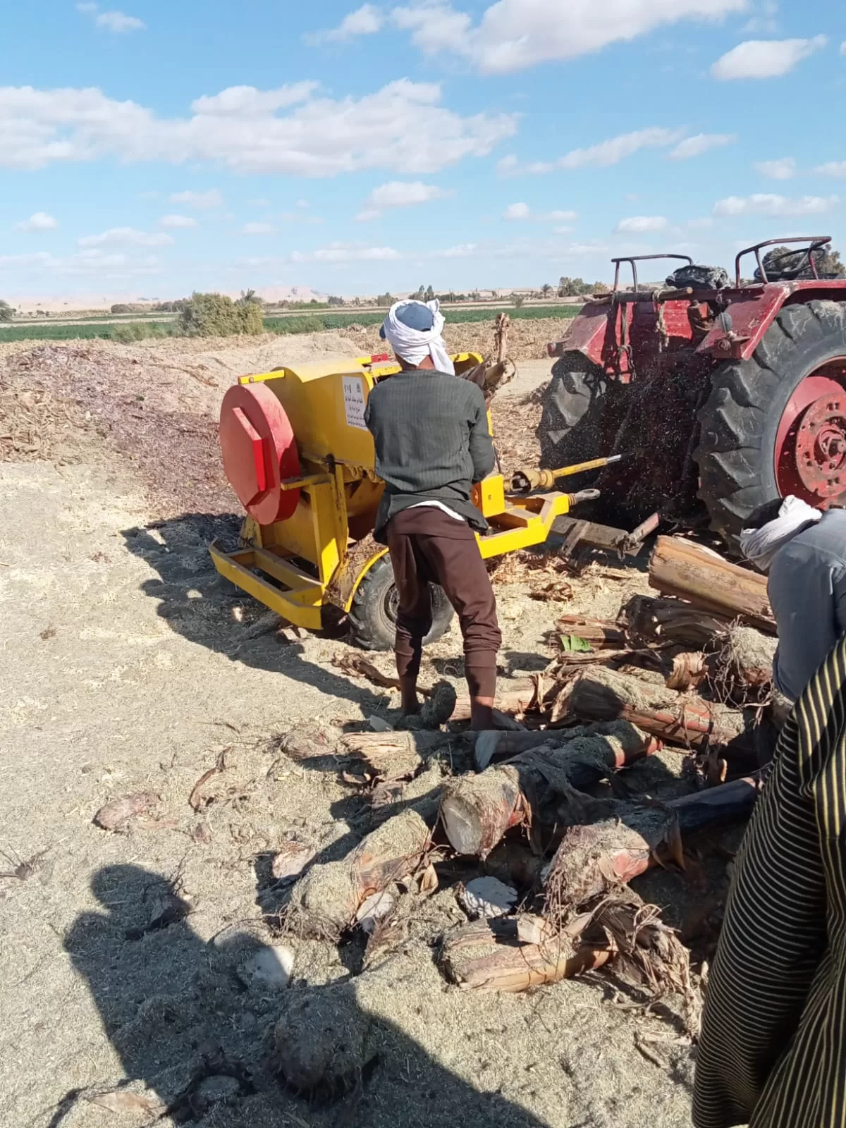«ذهبٌ أخضر من رماد الحقول».. كيف حولت قرى قنا المخلفات الزراعية إلى ثروة بيئية واقتصادية؟ 29 - جريدة المساء