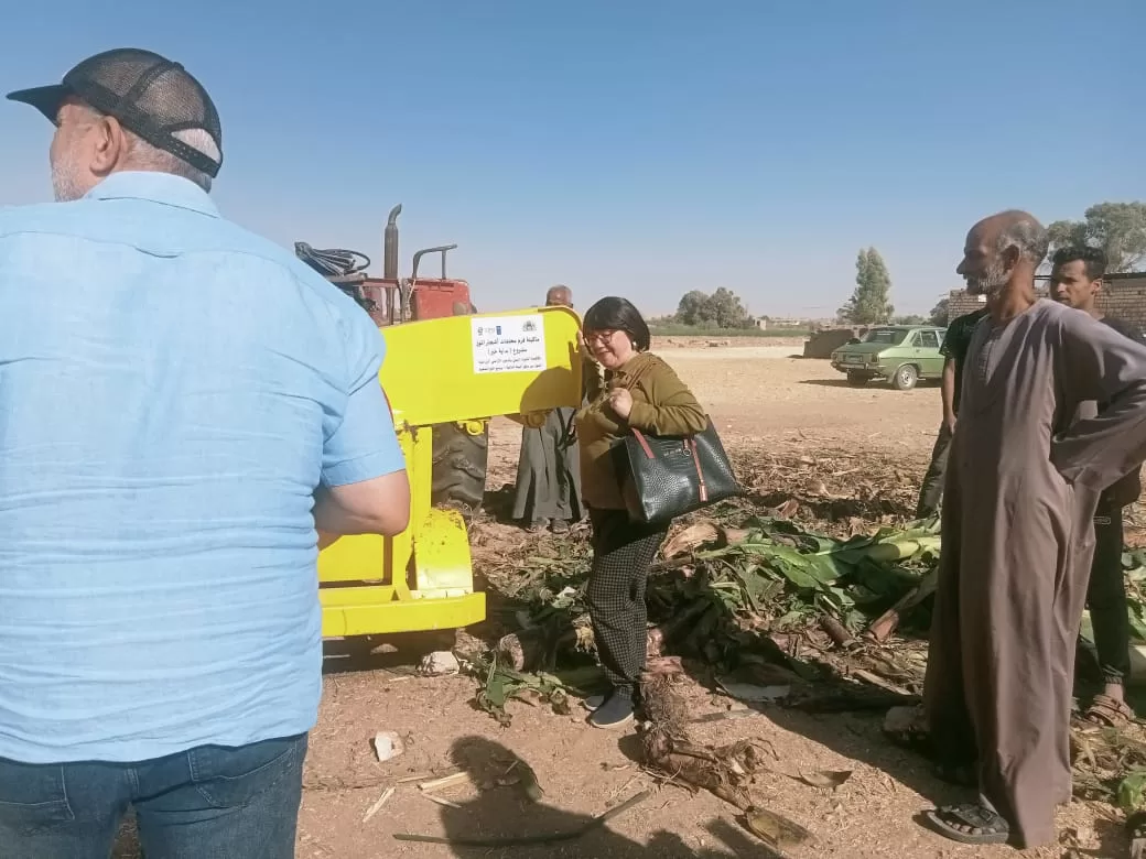 «ذهبٌ أخضر من رماد الحقول».. كيف حولت قرى قنا المخلفات الزراعية إلى ثروة بيئية واقتصادية؟ 65 - جريدة المساء