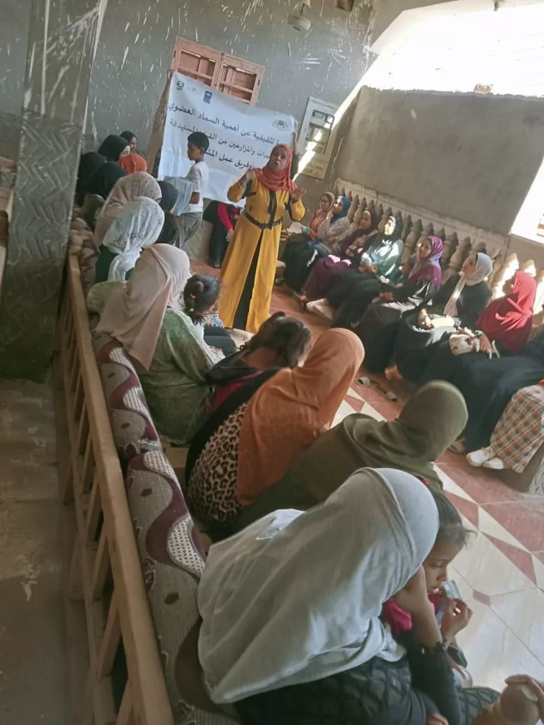 «ذهبٌ أخضر من رماد الحقول».. كيف حولت قرى قنا المخلفات الزراعية إلى ثروة بيئية واقتصادية؟ 179 - جريدة المساء