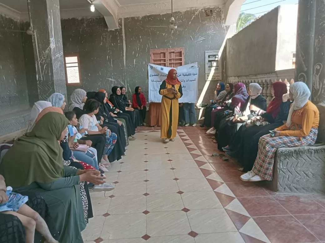 «ذهبٌ أخضر من رماد الحقول».. كيف حولت قرى قنا المخلفات الزراعية إلى ثروة بيئية واقتصادية؟ 181 - جريدة المساء