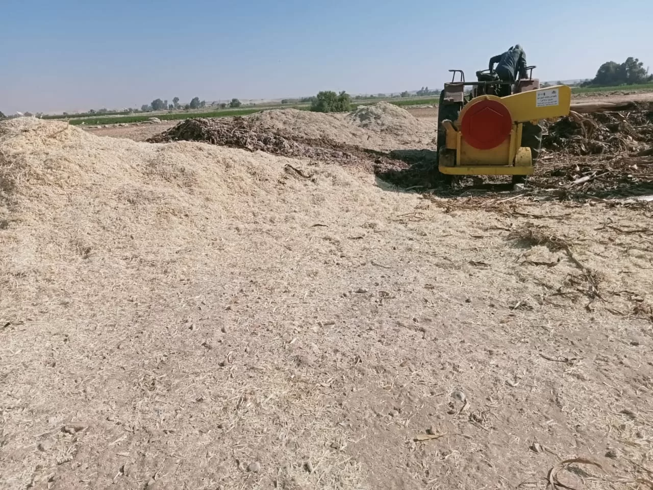 «ذهبٌ أخضر من رماد الحقول».. كيف حولت قرى قنا المخلفات الزراعية إلى ثروة بيئية واقتصادية؟ 97 - جريدة المساء