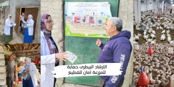 "الزراعة" تنفذ أكثر من 8600 ندوة إرشادية بيطرية لدعم أكثر من 100 ألف مربي خلال نوفمبر 1 - جريدة المساء