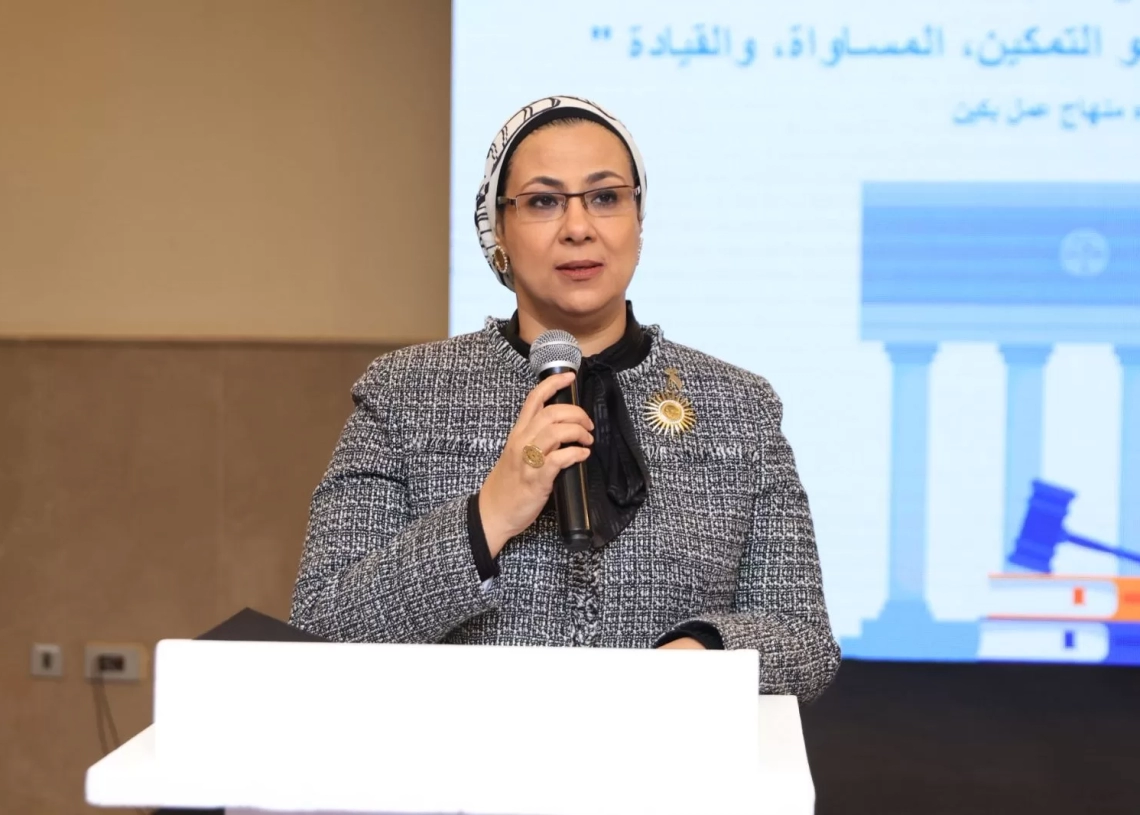 المستشارة أمل عمار تهنئ نساء مصر والعالم بالعام الجديد 19 - جريدة المساء