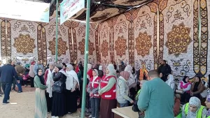 كدواني: بناء الإنسان أولويتنا.. ومبادرة محو الأمية بالمنيا تُحقق نتائج متميزة 28 - جريدة المساء