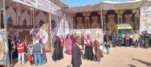 كدواني: بناء الإنسان أولويتنا.. ومبادرة محو الأمية بالمنيا تُحقق نتائج متميزة 24 - جريدة المساء