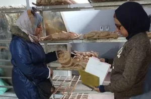 ضبط 4 أطنان دقيق مدعم وتحرير 15 مخالفة بالقصاصين 21 - جريدة المساء